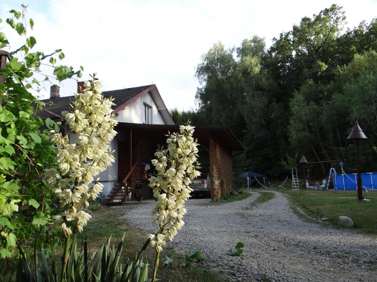 Dom Na Wzgorzu Daire Gorlice Dış mekan fotoğraf