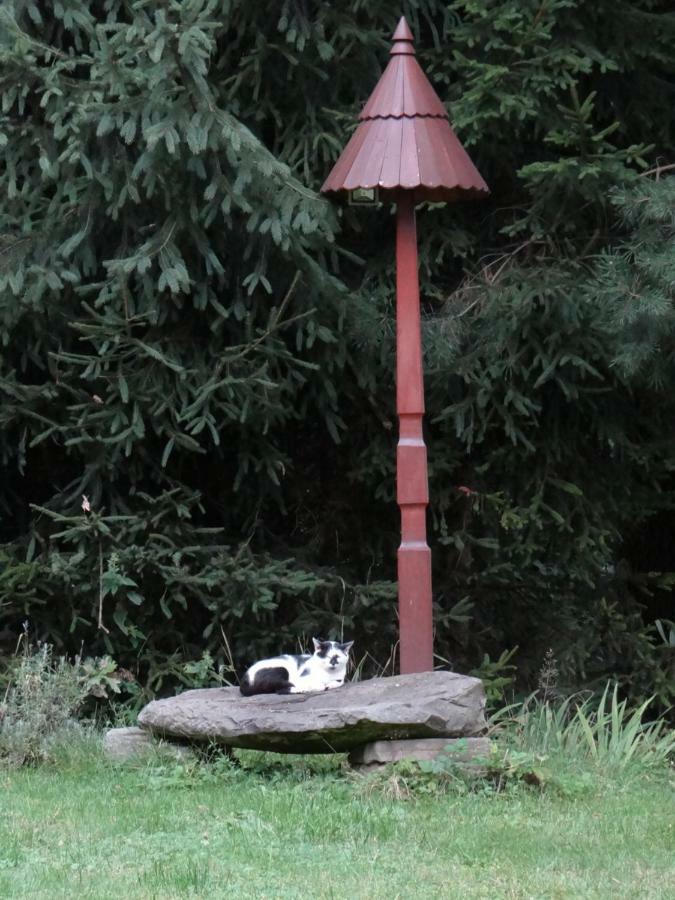 Dom Na Wzgorzu Daire Gorlice Dış mekan fotoğraf