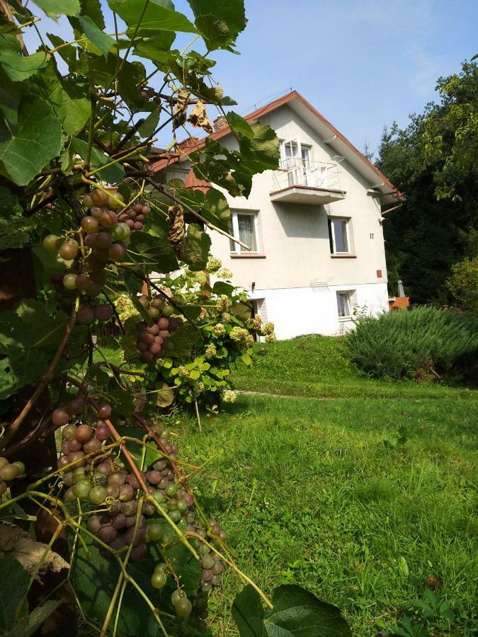 Dom Na Wzgorzu Daire Gorlice Dış mekan fotoğraf