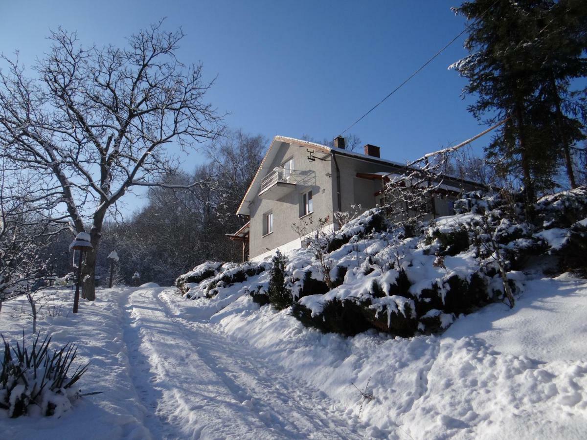 Dom Na Wzgorzu Daire Gorlice Dış mekan fotoğraf